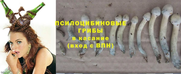 мяу мяу мука Арсеньев