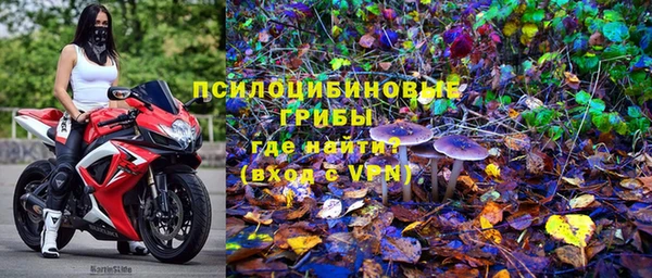 мяу мяу мука Арсеньев